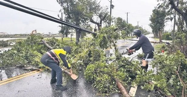 İstanbul’da fırtına etkili oldu: Ağaçlar devrildi, 2 kadın yaralandı