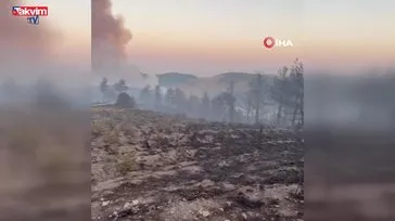Afyonkarahisar'da orman yangını çıktı!