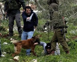 İsrail köpekli işkenceyi geçici olarak durdurdu