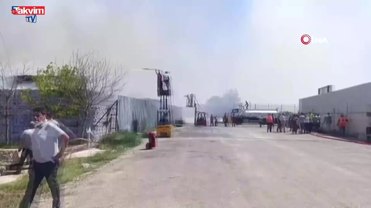 İzmir Torbalı’da kağıt fabrikasında yangın: Müdahale sürüyor