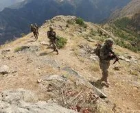 Operasyonlarla PKK’nın sesi kesildi