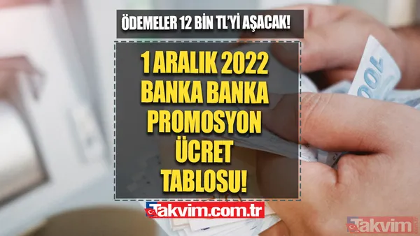 Aralık ayı promosyon ÜCRET TABLOSU netleşiyor! Emekliye 12 bin TL ikramiye! Asgari 5 bin TL ödeme! Ziraat, Vakıfbank, Halkbank, İş Bankası... - 1