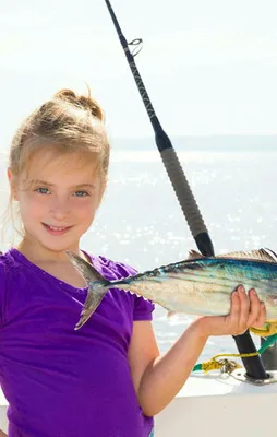 Bu yıl palamuta doyacağız