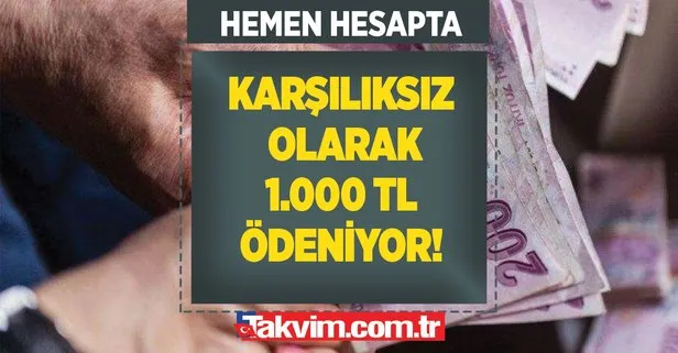 Başvuran tüm emeklilere geri ödemesiz 1.000 TL ödeniyor!