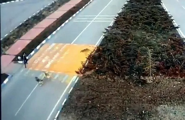 7-kopek-birden-saldirdi-genc-kizin-zor-anlari-kamerada-1649517867511.jpeg 7 köpek birden saldırdı! Genç kızın zor anları kamerada-3