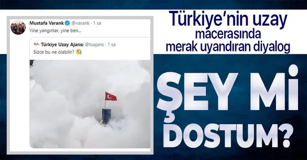 Türkiye Uzay Ajansı Sizce bu ne olabilir? diye sordu... Bakan Varank, Yine yangınlar yine ben diyerek yanıtladı