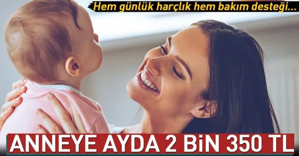 Anneye Ayda 2 Bin 350 Tl Takvim