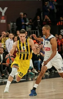 Obra kadabra sıra kupada