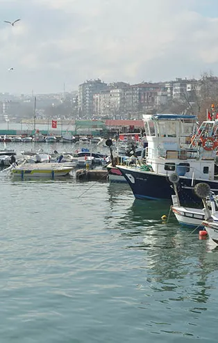 Marmara Denizi'nde 'kaykay' alarmı