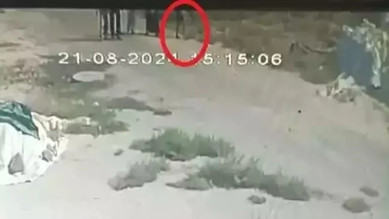 son-dakika-kayip-narin-guran-sorusturmasinda-yeni-gelisme-18-yasindaki-abi-gozaltinda-celiskili-ifadeler-kafa-1724917937287.jpeg Narin'in son görüntüsü.