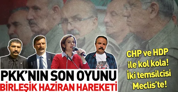 İşte PKK'nın destek verdiği 'Birleşik Haziran Hareketi'! CHP ile HDP arasındaki köprü: Canan Kaftancıoğlu!
