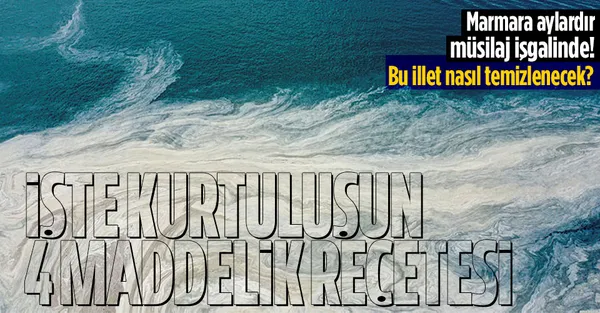 Marmara Denizi deniz salyası işgalinde! İşte müsilajdan kurtulmanın 4 maddelik reçetesi!-1