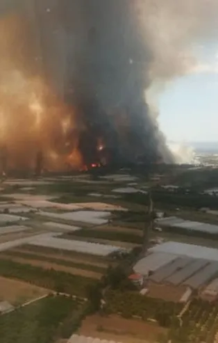 Antalya'da orman yangını