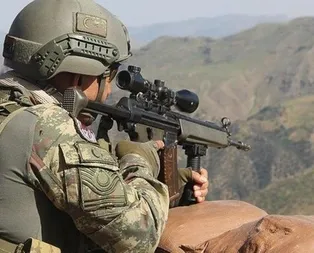Hakkaride PKKlı 2 terörist teslim oldu