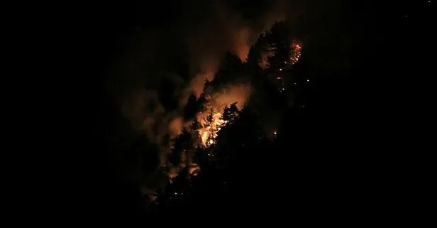 Pozantı’daki orman yangını gece de devam etti