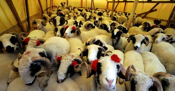 Arefe (Arife) günü özel sektöre izin var mı? Yarın arefe mi? Arefe günü yarım mı, tam mı?