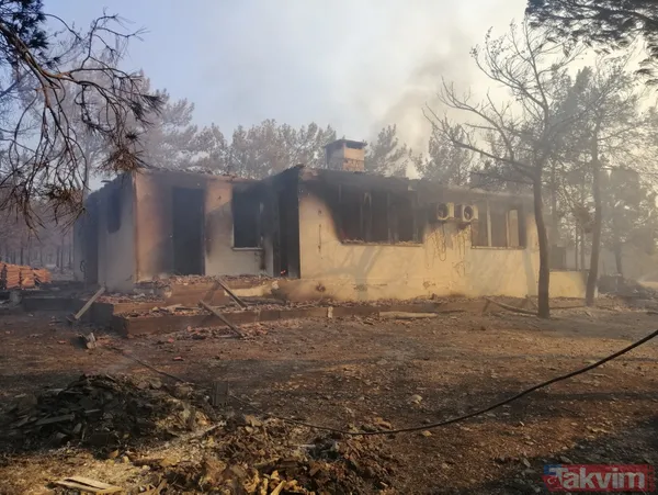 SON DAKİKA: Mersin Silifke'deki orman yangınında mezarlık zarar görürken şehidin kabri ve Türk bayrağı yanmadı - 9