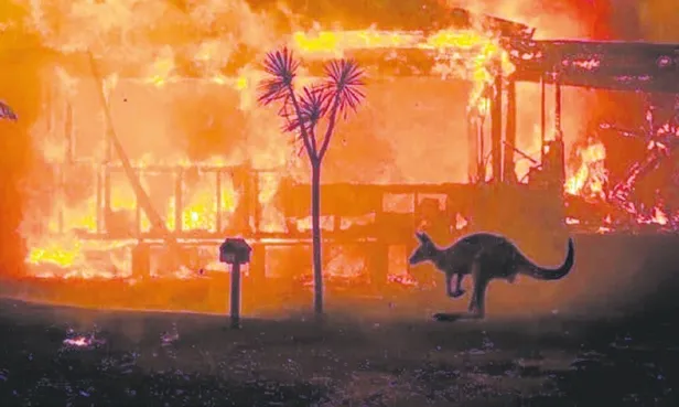 Avustralya’daki yangınlarda 33 kişi hayatını kaybetti,1 milyar 250 milyon hayvan telef oldu-2