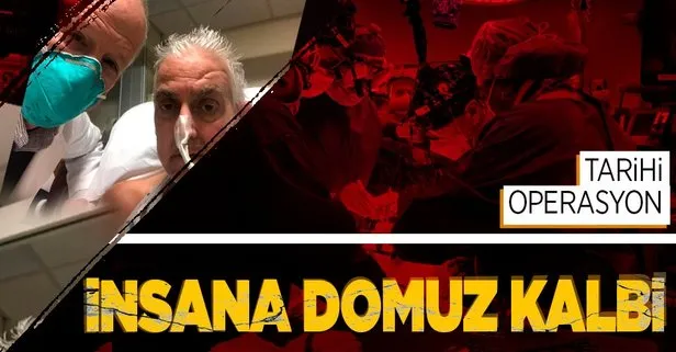 Dünyada bir ilk! ABD’de genetiği değiştirilen domuzdan insana kalp nakli gerçekleştirildi