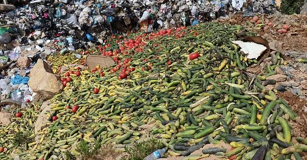 Antalya’da tonlarca sebzenin çöpe dökülmesiyle olayıyla ilgili açıklama