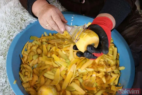 Cennet hurmasında yaş olanın fiyatı 6 kuru olanın fiyatı 50 TL! Almanlar kuru Ruslar yaş tercih ediyor - 15