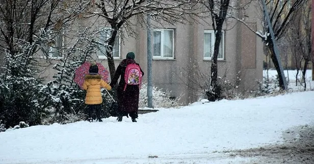 ⛄❄Gümüşhane, Bingöl, Kars, Muş’ta yarın okullar tatil mi?