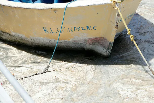 Marmara Denizi deniz salyası işgalinde! İşte müsilajdan kurtulmanın 4 maddelik reçetesi!-9
