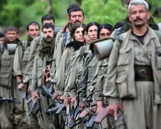 Vanda teslim olan PKKlı terörist itiraf etti: Örgüt içi infaz ve işkence başladı