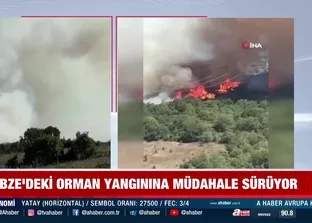 Kocaeli Gebze’de ormanlık alanda yangın!