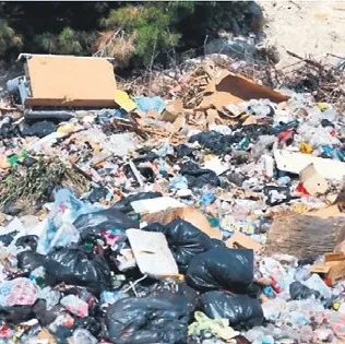 Foça Belediye Başkanı Saniye Bora Fıçı: Çöpü özellikle toplamıyorum