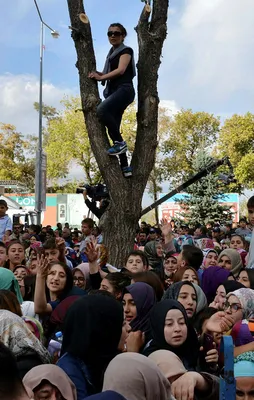 Erdoğan'a sesini duyurmak için ağaca çıktı