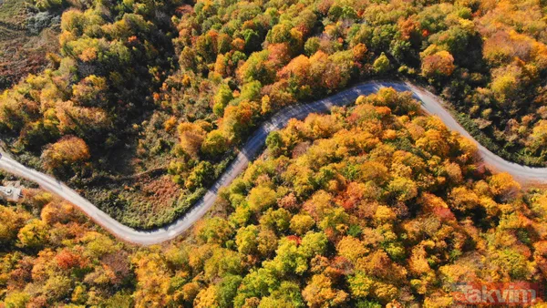 Dünyanın en derin ikincisi! Kastamonu'da büyüleyici manzara! Loç Vadisi ziyaretçilerini bekliyor - 19