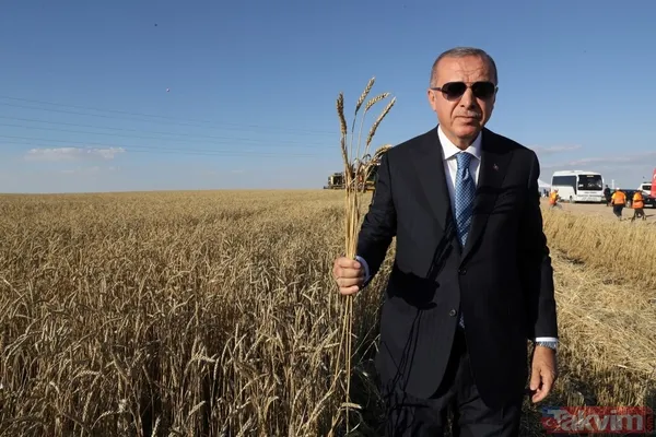 Başkan Erdoğan biçerdöverde buğday hasatı yaptı - 34