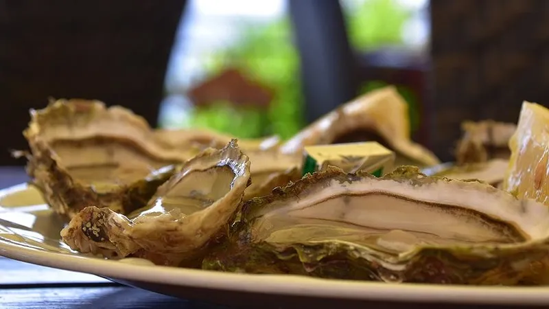 1-milyon-400-bin-tl-kazaniyor-koyunde-kurdugu-bu-modelle-servet-sahibi-oldu-cuval-cuval-getirisi-var-1709753583831.jpg Köyünde kurduğu bu modelle servet sahibi oldu! 1 milyon 400 bin TL kazanıyor! Çuval çuval getirisi var-6