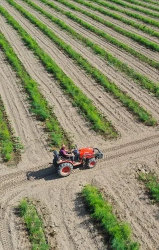 Çiftçiye nefes aldıracak destek! Ödeme takvimi belli oldu
