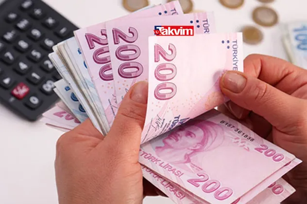 Pandemi 1100 TL destek başvurusu SONUÇ sorgulama! Turkiye.gov.tr pandemi destek sonucu öğrenme ekranı!