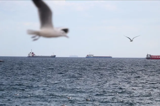 Marmara Denizi'nde ulaşıma lodos engeli