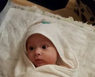 Arslan seferberliği!