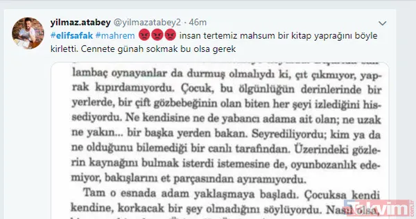 Abdullah Şevki'den sonra bir pedofili skandalı da FETÖ gelini Elif Şafak'tan! - 20