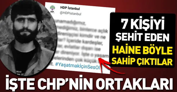 İşte CHP'nin ortakları! Teröriste böyle sahip çıktılar