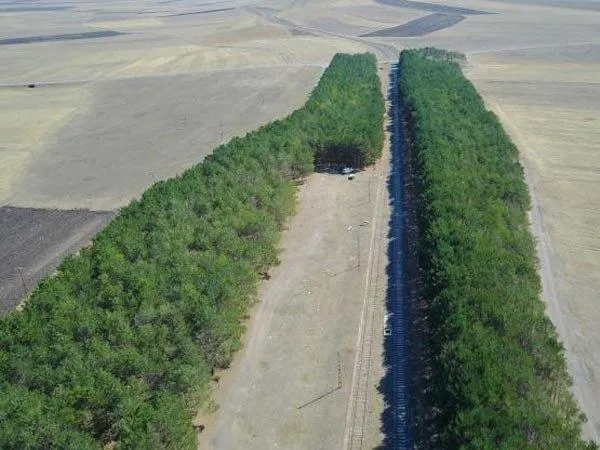 Kars'ta çekildi! Bu fotoğraf herkesin dilinde-6