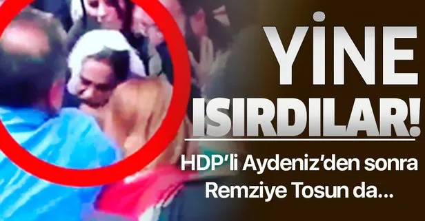 Yine saldırdılar! HDP’li Remziye Tosun, polisin kolunu ısırdı