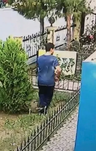 Sosyal medya ayağa kalkmıştı! İzmir'de kedi yavrusunu tekmeleyerek öldüren kişi yakalandı