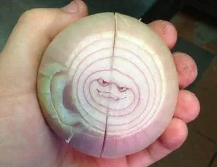 Bu yüzleri daha önce görmüş müydünüz?