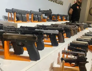 Piyasa değeri 1 milyonun üzerinde 254 silah ele geçirildi