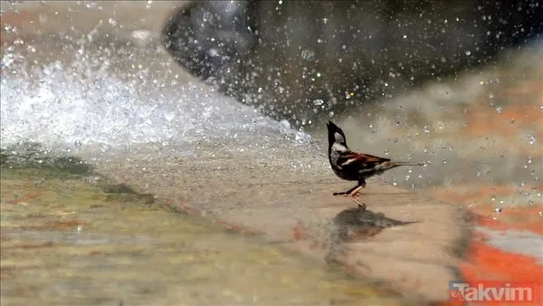 Eskişehir °C, 29°C Az Bulutlu Ve Açık, Zamanla Parçalı Yer Yer Çok Bulutlu, Öğleden Sonra Ve Akşam Saatlerinde Yerel Sağanak Ve Gök Gürültülü Sağanak Yağışlı...