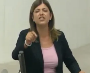 HDPli Meral Danış Beştaş bebek katillerini bu sözlerle savundu