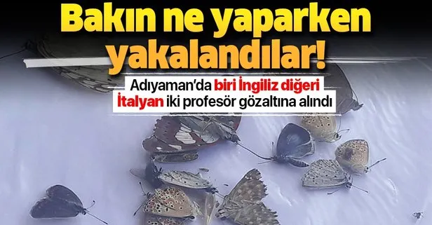 adiyaman da ilginc olay biri ingiliz