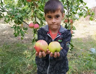 6 ay çürümeden tazeliğini koruyor! Sadece o ilde yetişiyor