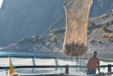 Artvin’den Türk somonu dünyaya açılıyor!